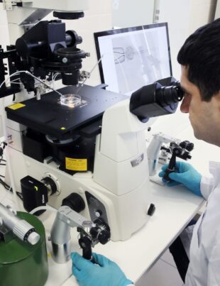 Primii embrioni umani sintetici au fost creați în premieră în laborator din celule stem. „Scopul nu este de a crea viață”