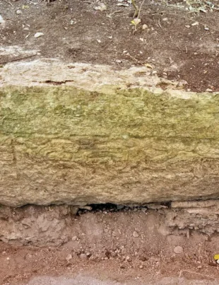 FOTO. Un oraș mayaș antic din Mexic a stat ascuns în junglă peste 1.000 de ani. Cum a fost descoperit