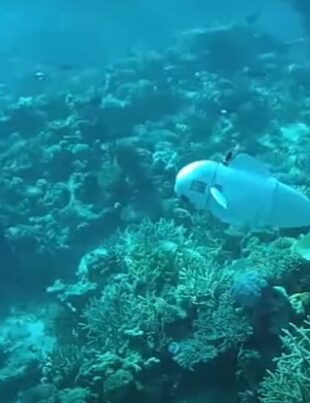 VIDEO. Cum ar putea un robot pește „silențios asemeni unui spion” să contribuie la progresul științei oceanelor