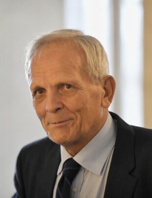 Un lider PNL cere demisia lui Firea și Budăi. Romașcanu: Doamna Firea nu are nicio treabă