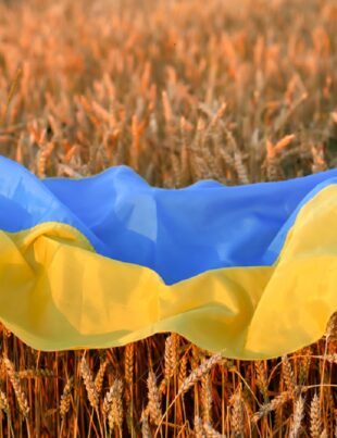 Ministrul german de externe sare în apărarea Ucrainei: Cerealele ucrainene nu pot fi lăsate să putrezească în silozuri