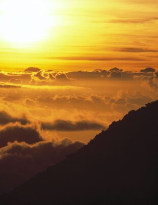 Peste 61.000 de oameni au murit în Europa, vara trecută, din cauza căldurii