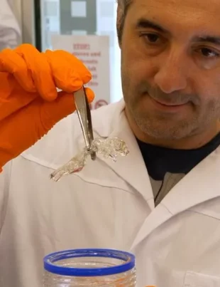 O nouă metodă de scanare cu șoareci transparenti ar putea revoluționa testarea medicamentelor împotriva cancerului