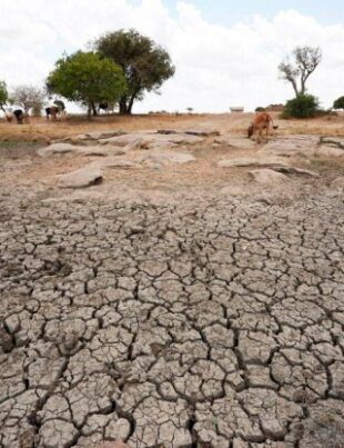 „Terra este la un pas de catastrofă”