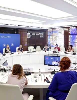 Întâlnire consultativă la Guvern cu ONG-uri pe tema situației drepturilor femeilor în România