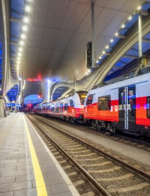 Austria Oferă Transport Public Gratuit Timp De Un An Pentru Cei Care își Fac Un Anumit Tatuaj