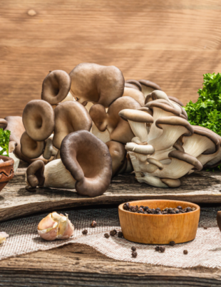 Rețete Cu Ciuperci Pleurotus | Libertatea