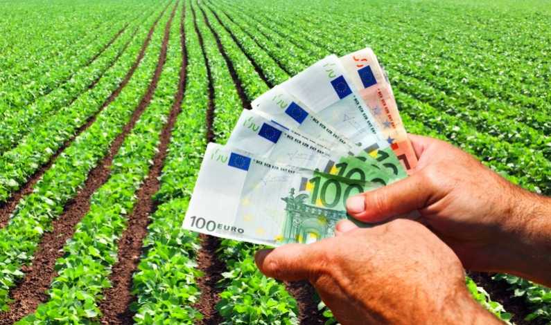 Vești pentru fermierii care cultivă cereale: CEC Bank lansează creditul cu aprobare rapidă