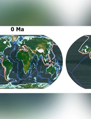 Rasa umană va fi eradicată în viitor. Un nou „supercontinent” va duce la moartea oamenilor și mamiferelor, sugerează un studiu