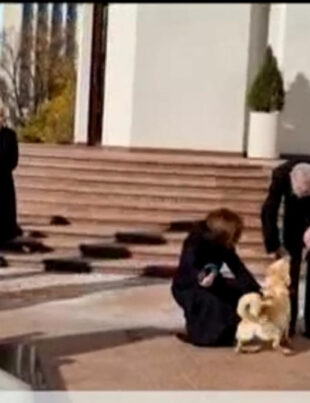 Preşedintele Austriei a fost muşcat de câinele Maiei Sandu: Nu e chiar atât de rău