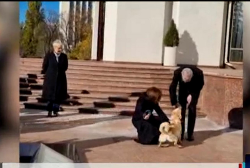Preşedintele Austriei a fost muşcat de câinele Maiei Sandu: Nu e chiar atât de rău