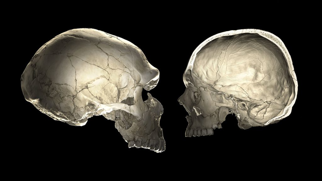 Este posibil ca neandertalienii să fi fost oameni matinali