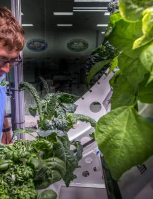 Astronauții riscă să se îmbolnăvească