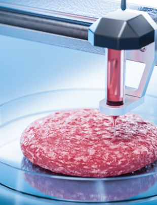 Un startup spaniol de tehnologie își propune să pună carne imprimată 3D în farfuriile oamenilor
