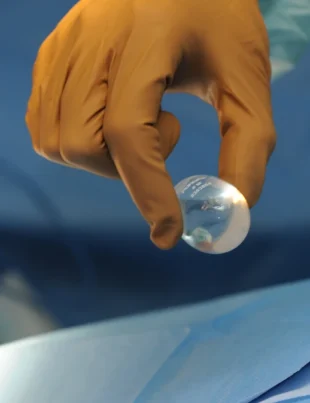 Primele testicule artificiale au fost create în laborator