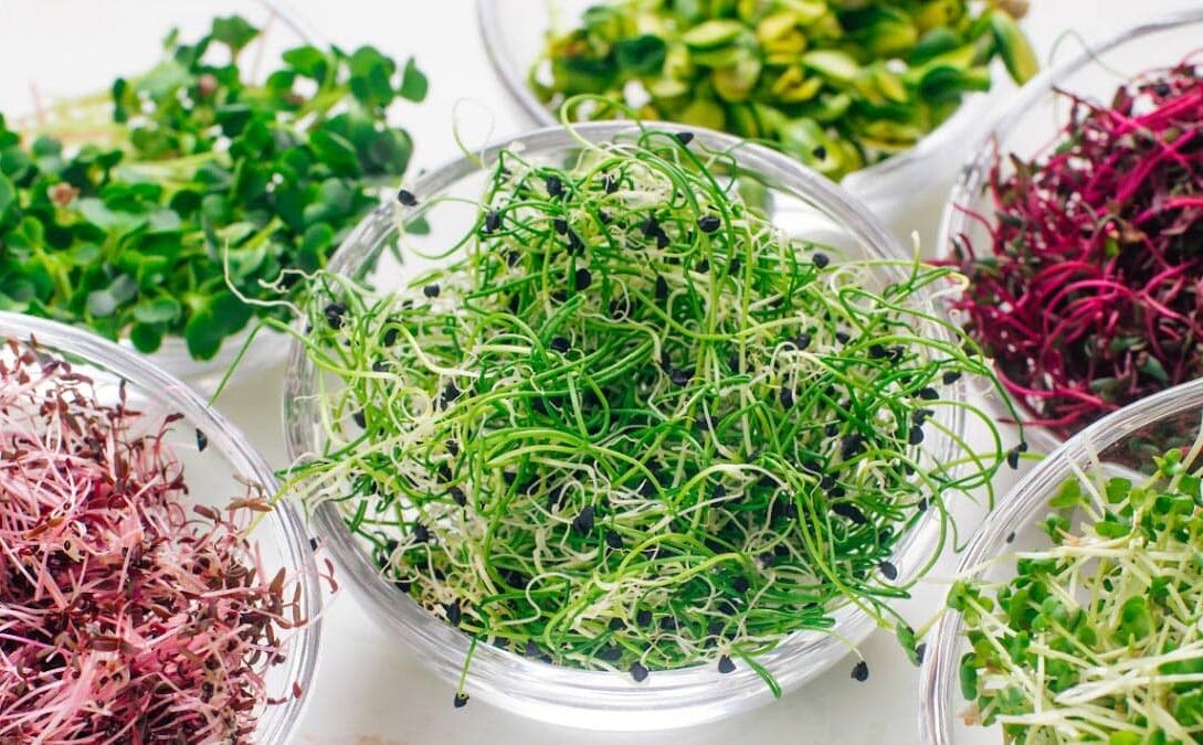 Cercetătorii italieni au creat micro-legume personalizate
