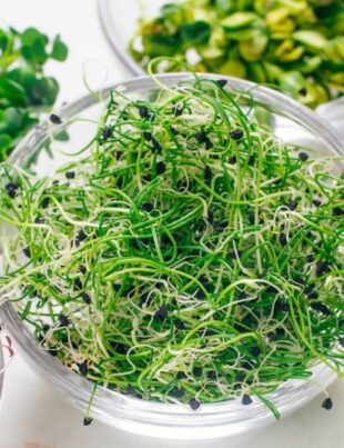 Cercetătorii italieni au creat micro-legume personalizate
