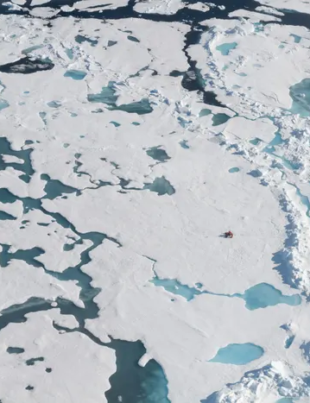 Biologul marin Paulo Tigreros caută microplastice în Antarctica