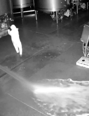 Pagubă de peste 2,5 milioane de euro la o cramă cu vinuri de lux din Spania! Un fost angajat ar dorit să se răzbune