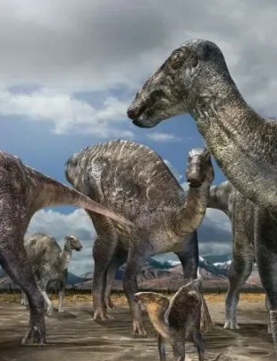 Un bărbat a găsit un schelet de dinozaur pe o plajă din Franța