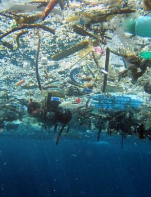 11 milioane de tone de plastic se află pe fundul oceanului