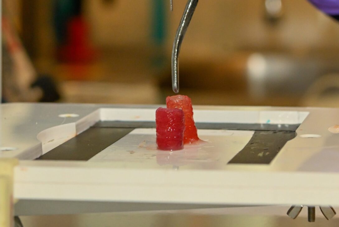 Inginerii de la ESA au creat vase de sânge prin bioprintare 3D
