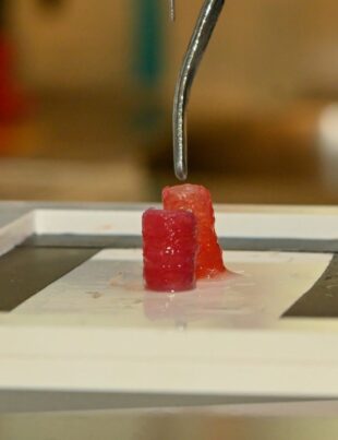 Inginerii de la ESA au creat vase de sânge prin bioprintare 3D