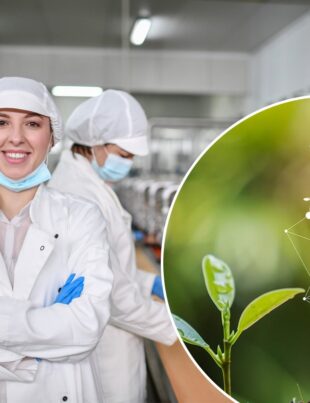 Descoperirea care ar putea revoluționa industria energetică ecologică. Cercetătorii americani au făcut anunțul