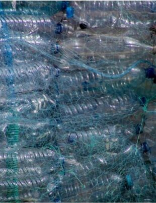 Cercetătorii au descoperit un plastic care se autodistruge