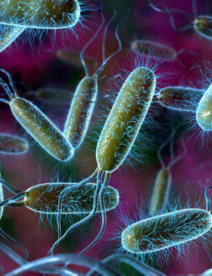 O persoană a murit în urma epidemiei de E.coli. Cum să te ferești