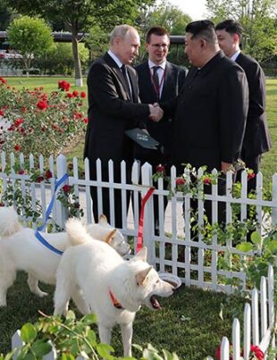 De ce Vladimir Putin a primit doi câini de la Kim Jong Un. Gestul dictatorului din Coreea de Nord are o semnificație diplomatică ascunsă