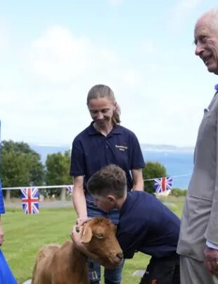 Titlul regal care i-a fost acordat unei capre de 8 ani de către Regele Charles. Animalul spălat cu Head & Shoulders îi aparține unui copil de 9 ani
