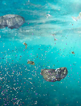 Olanda, Belgia și Suedia interzic microplasticele din produse
