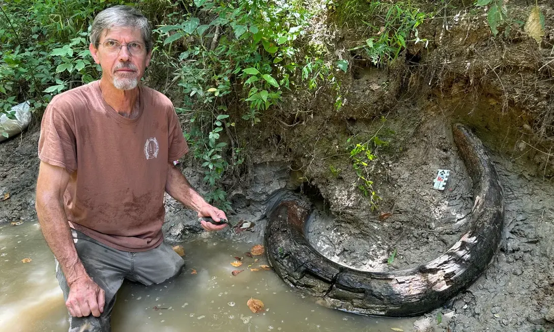 Un vânător amator de fosile găsește colțul intact