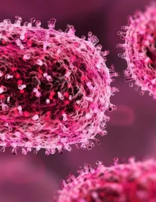 India a confirmat primul caz de mpox