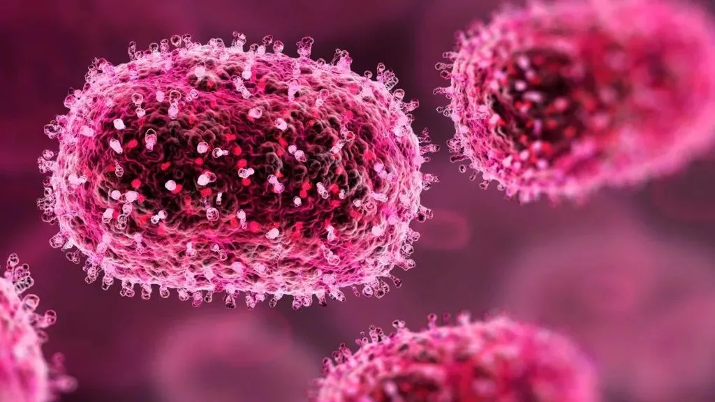 India a confirmat primul caz de mpox