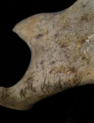 Cercetătorii au făcut noi descoperiri despre Epoca Bronzului