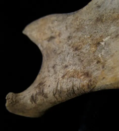 Cercetătorii au făcut noi descoperiri despre Epoca Bronzului