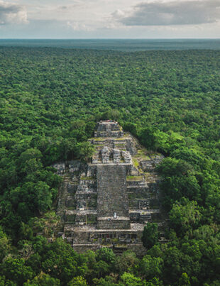 Descoperirile anului 2024