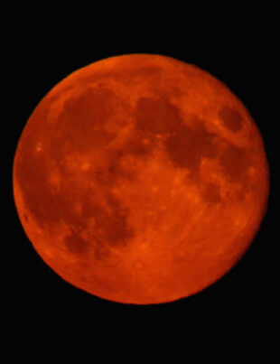 Spectacolul celest „Luna sângerie” a avut loc azi dimineață