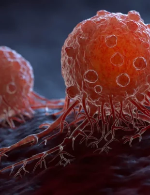 Un nou tratament cu anticorpi face cancerul să dispară complet