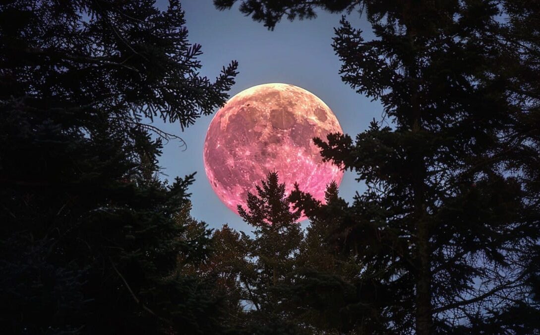 Azi vezi Luna Căpșună, cea mai joasă Lună Plină din ultimii 18 ani