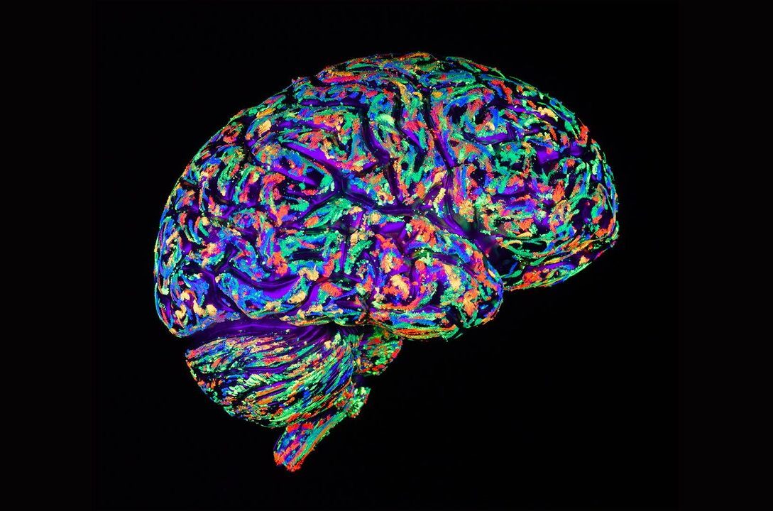 Persoanele optimiste au modele similare de activitate cerebrală