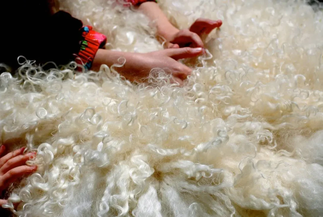 Keratina din lâna și părul de oaie previne cariile