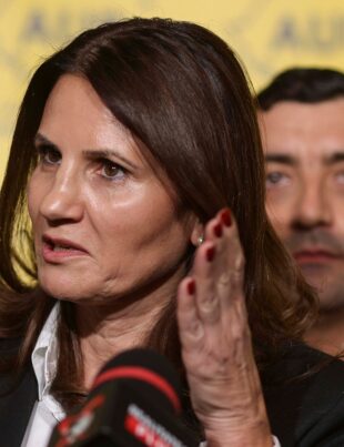 Anca Alexandrescu susține că ar fi urmărită: „Mi-a amenințat vecinii că îi împușcă. Era orientat cu mașina către casa mea și urmărea intrarea casei mele”