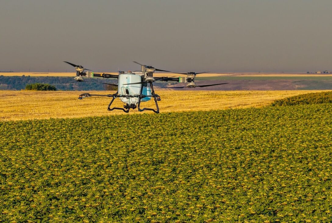 Unde nu a răsărit rapița? AEROCROP identifică zonele afectate cu ajutorul dronei