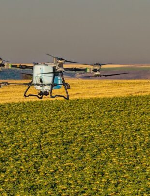 Unde nu a răsărit rapița? AEROCROP identifică zonele afectate cu ajutorul dronei